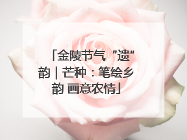 金陵节气“遗”韵｜芒种：笔绘乡韵 画意农情