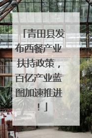 青田县发布西餐产业扶持政策，百亿产业蓝图加速推进！
