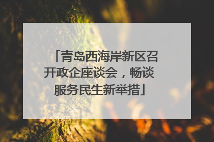青岛西海岸新区召开政企座谈会，畅谈服务民生新举措
