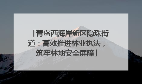 青岛西海岸新区隐珠街道：高效推进林业执法，筑牢林地安全屏障