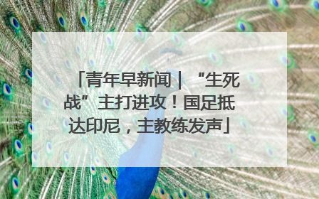 青年早新闻｜“生死战”主打进攻！国足抵达印尼，主教练发声