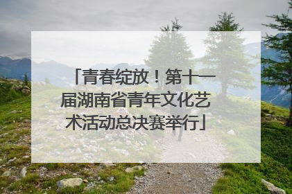 青春绽放！第十一届湖南省青年文化艺术活动总决赛举行