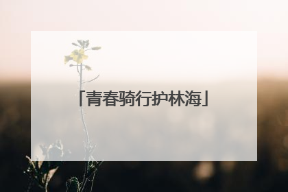 青春骑行护林海