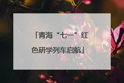 青海“七一”红色研学列车启航