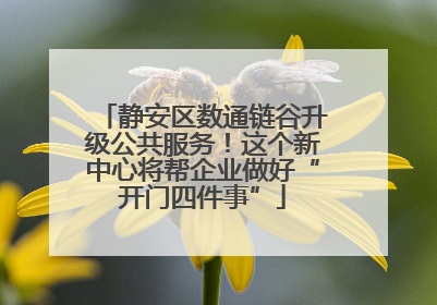 静安区数通链谷升级公共服务！这个新中心将帮企业做好“开门四件事”