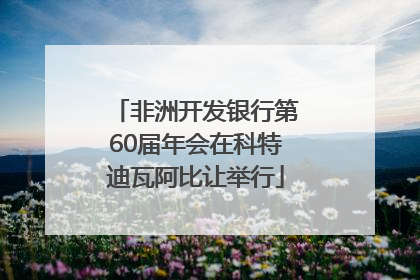 非洲开发银行第60届年会在科特迪瓦阿比让举行