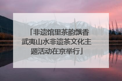 非遗馆里茶韵飘香 武夷山水非遗茶文化主题活动在京举行