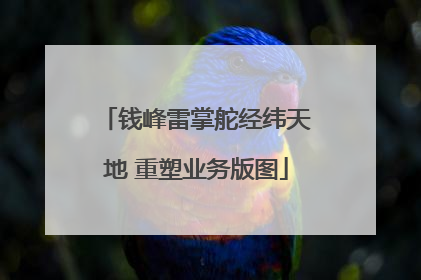 钱峰雷掌舵经纬天地 重塑业务版图