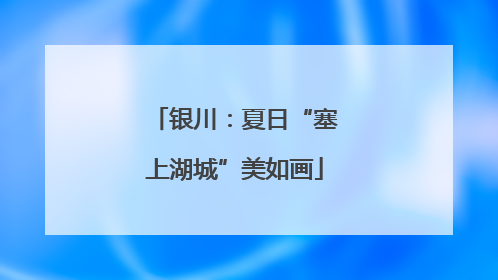 银川：夏日“塞上湖城”美如画