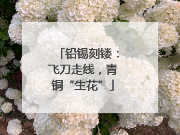铅锡刻镂：飞刀走线，青铜“生花”