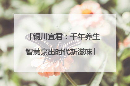 铜川宜君：千年养生智慧烹出时代新滋味