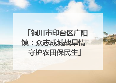 铜川市印台区广阳镇：众志成城战旱情 守护农田保民生