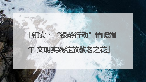 镇安：“银龄行动”情暖端午 文明实践绽放敬老之花