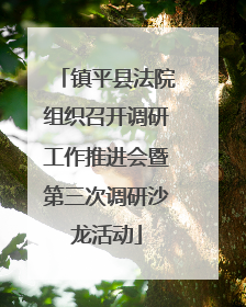 镇平县法院组织召开调研工作推进会暨第三次调研沙龙活动