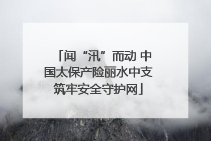 闻“汛”而动 中国太保产险丽水中支筑牢安全守护网