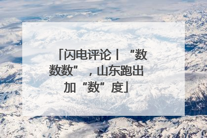 闪电评论丨“数数数”，山东跑出加“数”度