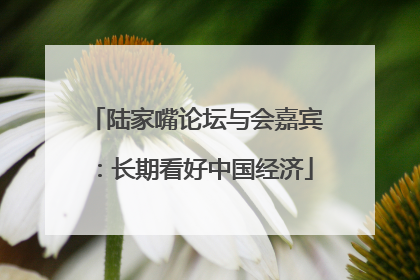 陆家嘴论坛与会嘉宾：长期看好中国经济