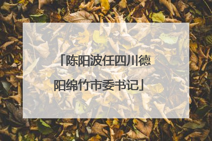 陈阳波任四川德阳绵竹市委书记