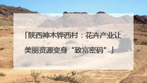 陕西神木铧西村：花卉产业让美丽资源变身“致富密码”