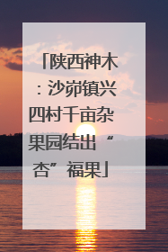 陕西神木：沙峁镇兴四村千亩杂果园结出“杏”福果