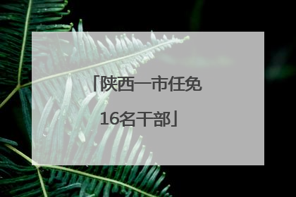 陕西一市任免16名干部