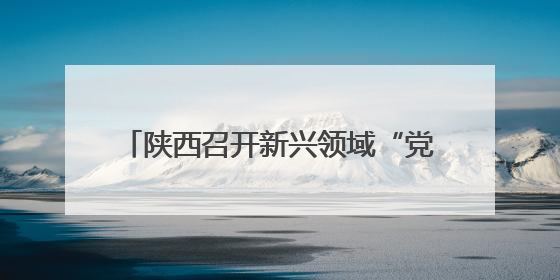 陕西召开新兴领域“党建带工建 工建服务党建”现场交流推进会