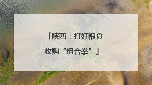 陕西：打好粮食收购“组合拳”