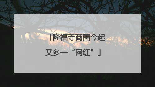 隆福寺商圈今起又多一“网红”