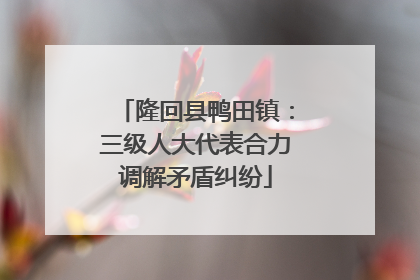 隆回县鸭田镇：三级人大代表合力调解矛盾纠纷