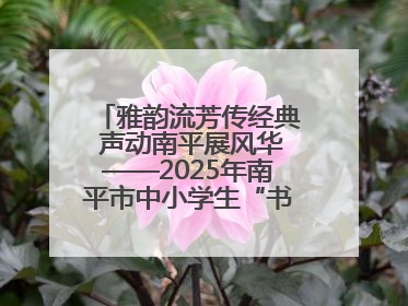 雅韵流芳传经典 声动南平展风华——2025年南平市中小学生“书香南平 经典传诵”中华经典诗文朗诵决赛圆满举行