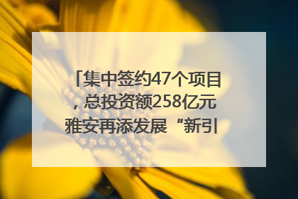 集中签约47个项目，总投资额258亿元 雅安再添发展“新引擎”｜数读西投
