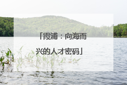 霞浦：向海而兴的人才密码