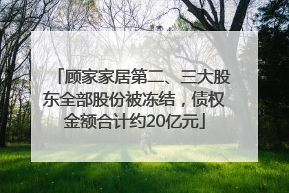 顾家家居第二、三大股东全部股份被冻结，债权金额合计约20亿元
