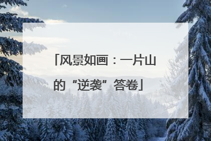 风景如画：一片山的“逆袭”答卷