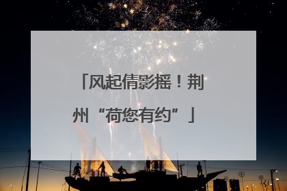 风起倩影摇！荆州“荷您有约”