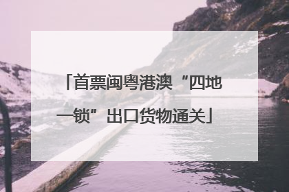 首票闽粤港澳“四地一锁”出口货物通关