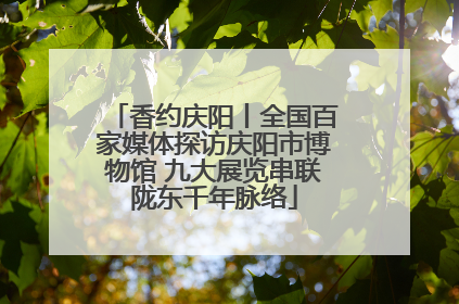 香约庆阳丨全国百家媒体探访庆阳市博物馆 九大展览串联陇东千年脉络