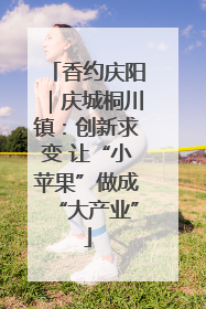香约庆阳｜庆城桐川镇：创新求变 让“小苹果”做成“大产业”