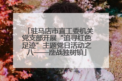 驻马店市直工委机关党支部开展“追寻红色足迹”主题党日活动之八——鏖战独树镇