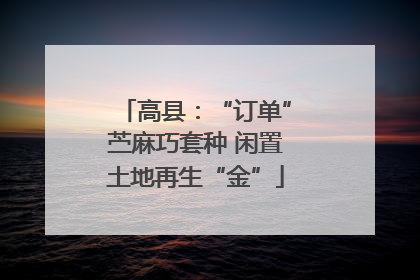 高县：“订单”苎麻巧套种 闲置土地再生“金”