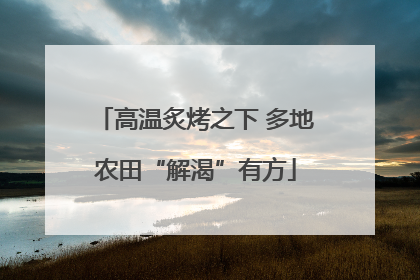 高温炙烤之下 多地农田“解渴”有方