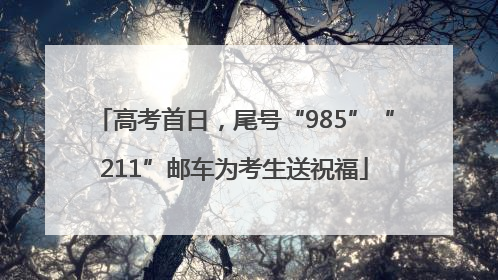 高考首日，尾号“985”“211”邮车为考生送祝福