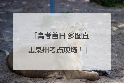 高考首日 多图直击泉州考点现场！