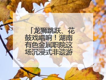 龙狮跳跃、花鼓戏唱响！湖南有色金属职院这场沉浸式非遗游园活动很带感