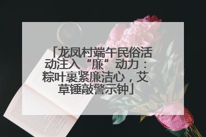 龙凤村端午民俗活动注入“廉”动力：粽叶裹紧廉洁心，艾草锤敲警示钟
