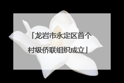 龙岩市永定区首个村级侨联组织成立