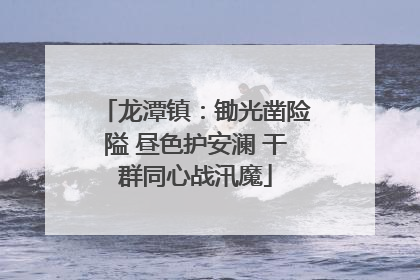 龙潭镇：锄光凿险隘 昼色护安澜 干群同心战汛魔