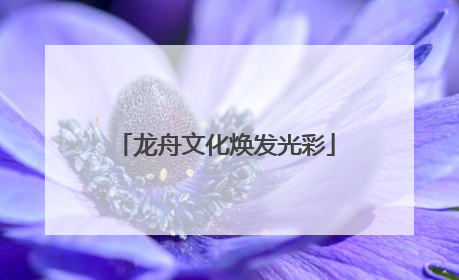 龙舟文化焕发光彩