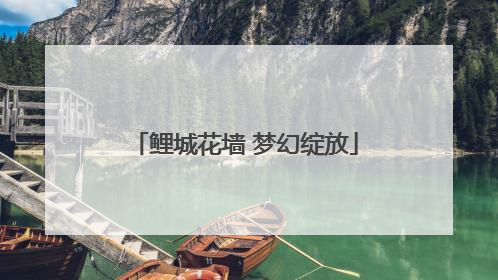 鲤城花墙 梦幻绽放