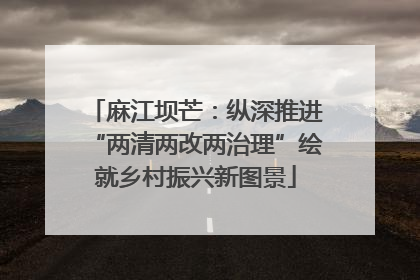 麻江坝芒：纵深推进“两清两改两治理”绘就乡村振兴新图景